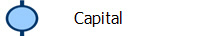       Capital
